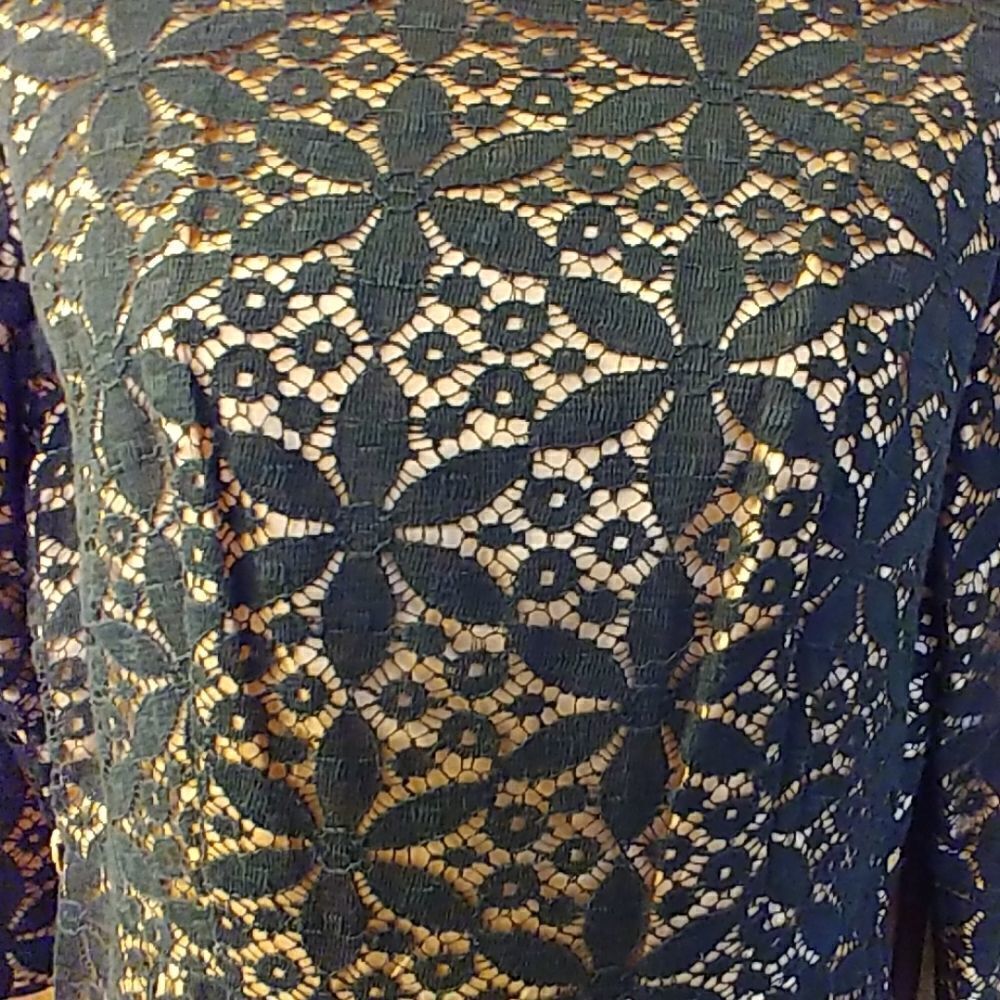 Vintage 60s Black Overlay Lace Dress - Picture 2 of 8